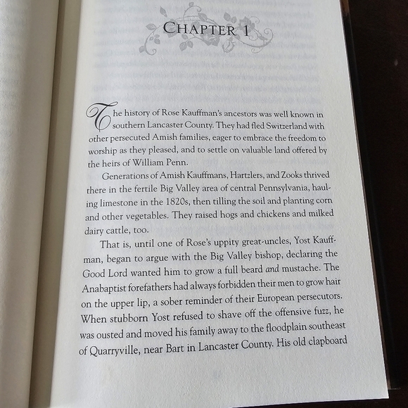 Rose Trilogy #1 The Thorn, By Beverly Lewis, Hardcover, Pre-owned - Picture 7 of 7